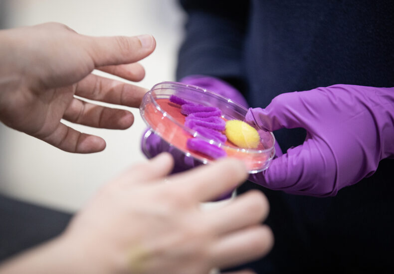 Children make their own Petri dishes during the MEGAMicrobe community science event. (photo by Erin O. Smith)