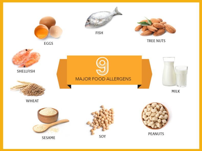 (image by Diana Duren)