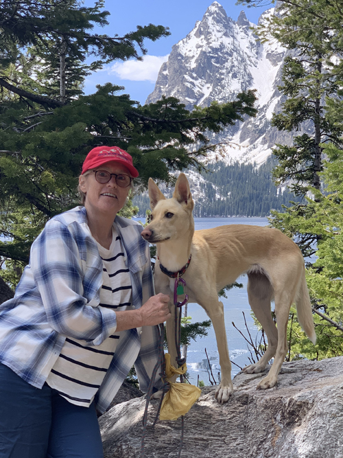 treated with an experimental cancer vaccine 