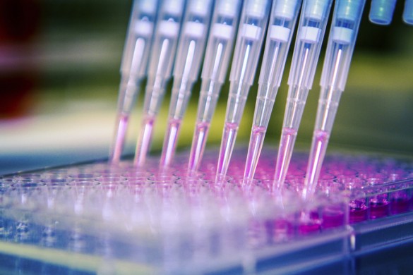 cells-pipettes_iStock