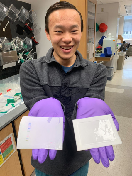 Jason Wang of Brentwood, Tennessee, in the Macara lab with a gel transfer.