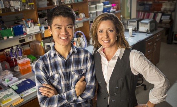 Cook and SSMV DD003 main