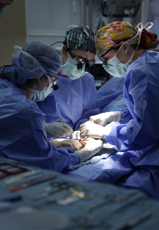 From left, Reagan Mead, MD, Orthopaedic Surgery resident; Chelsea Brown, MD, assistant professor of Orthopaedic Surgery; and Blaire McCarthy, MD, Orthopaedic Surgery resident, operate on a patient during the event. (photo by Donn Jones)