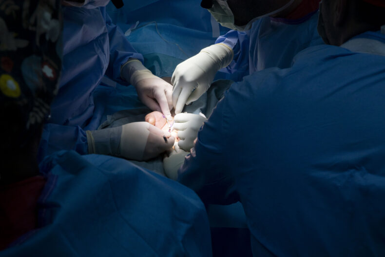 (photo by Susan Urmy)