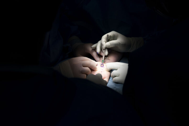 (photo by Susan Urmy)