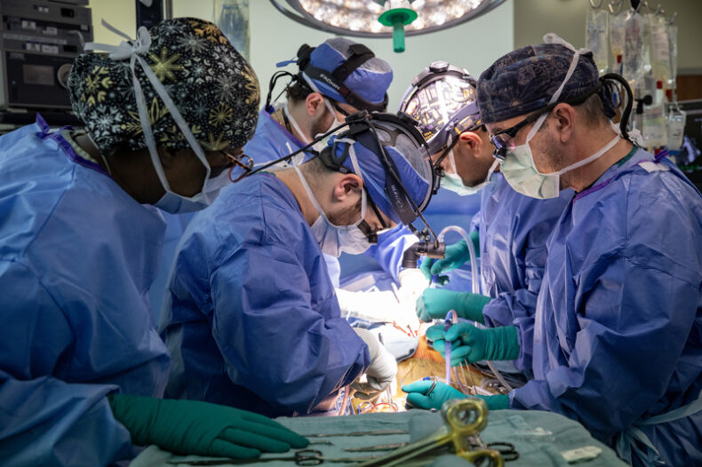 Kascey Malone, CST; Brandon Petree, MD; Aaron Williams, MD; Yatrik Patel, MD; and Sean Bunch, RN; work around a patient during a heart transplant surgery. (photo by Erin O. Smith)