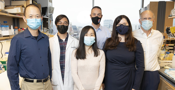 From left, Ken Lau, PhD, Bob Chen, Qi Liu, PhD, Joseph Rolland, PhD, Martha Shrubsole, PhD, Robert Coffey, MD, and colleagues are studying how polyps develop into colorectal cancer, setting the framework for improved surveillance for the cancer utilizing precision medicine. (photo by Erin O. Smith)