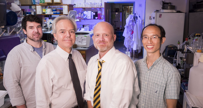 From left, Ryan Allen, PhD, MacRae Linton, MD, Kasey Vickers, PhD, Quanhu Sheng, PhD, and colleagues are working to create a new model of atherosclerosis development. (photo by Susan Urmy)