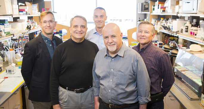 The research team studying undiagnosed congenital diarrheas includes, from left, Matt Tyska, PhD, James Goldenring, MD, PhD, Joseph Roland, PhD, Sari Acra, MD, MPH, and Hernan Correa, MD.