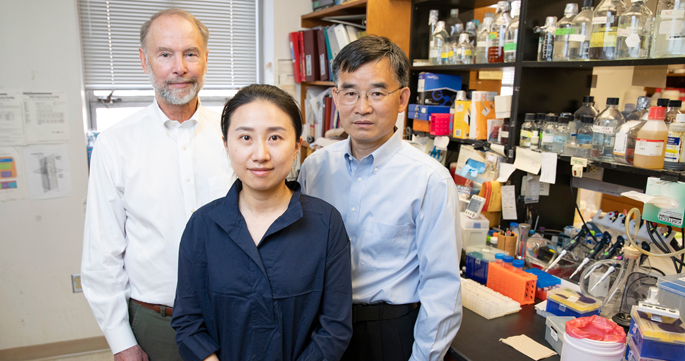 From left, Raymond C. Harris, MD, Shirong Cao, MD, PhD, Ming-Zhi Zhang, MD, MSc, and colleagues are studying the role of inflammation in obesity. 