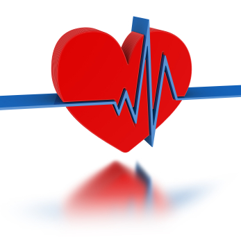 Illustration of heart