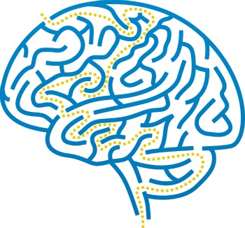 brain-maze