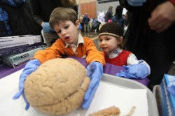 SA Brain Blast DD004