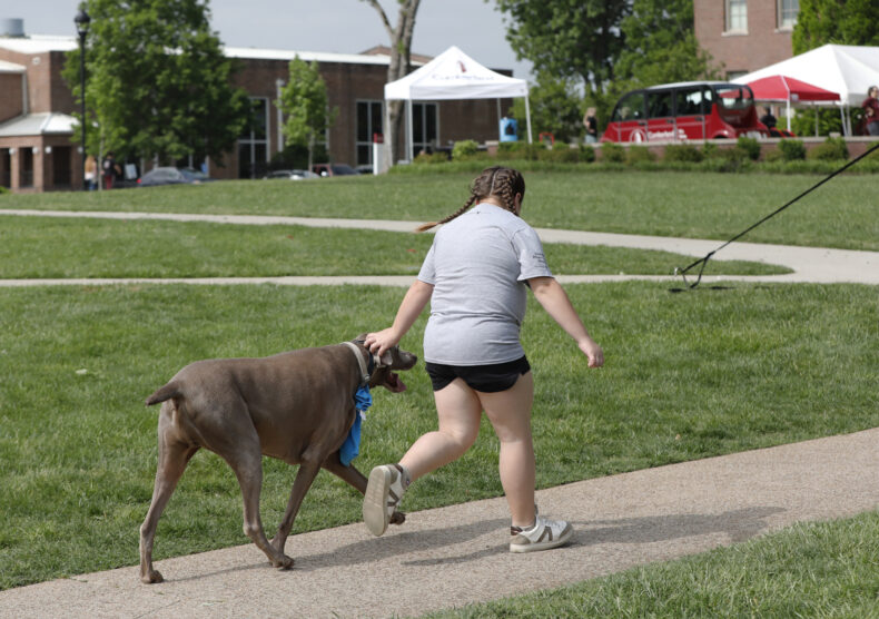 Wilson County Heart Walk. (photo by Donn Jones)