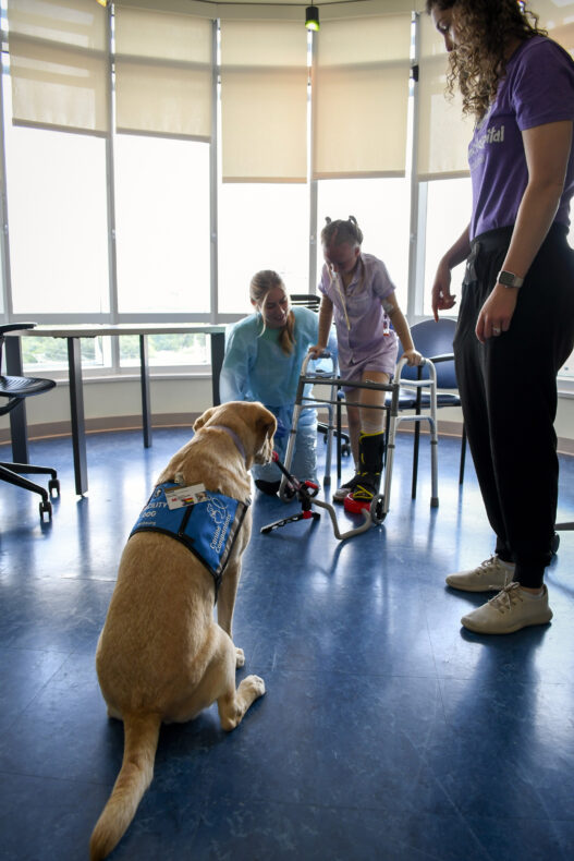 Velour and her handler, Kaylor Glassman, MS, offer encouragement and support as patient Brynlee Pruitt works with physical therapist Nadine Kosten, PT, DPT.