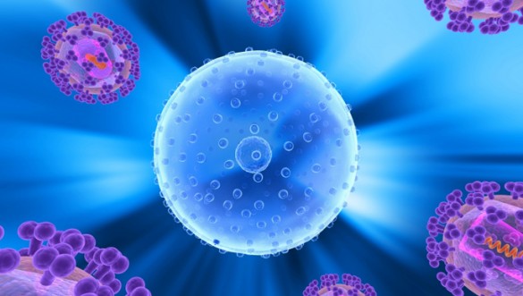 HIV cell
