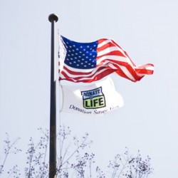 Donate Life 2010 SU001