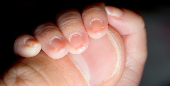 Tiny baby holding man's thumb