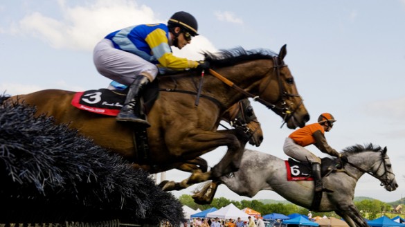 Steeplechase file JH001NEW