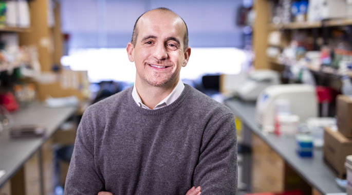 Jim Cassat, MD, PhD, and colleagues are studying enzymes involved in metabolism that are particularly important for Staphylococcus aureus to survive in host tissues.