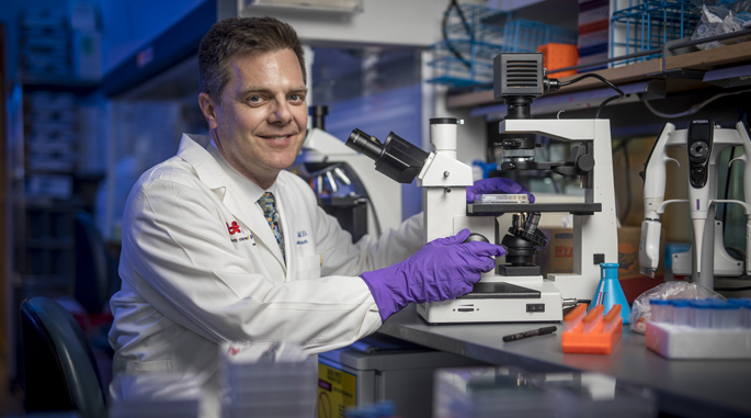 James Crowe Jr., MD, and colleagues are exploring how the body’s immune system gears up to fight off infection.