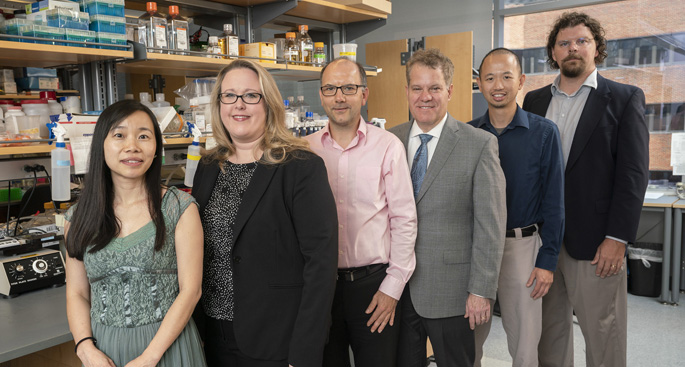 From left, Qi Liu, PhD, Lori Coburn, MD, Gregor Neuert, PhD, Keith Wilson, MD, Ken Lau, PhD, and Bennett Landman, PhD, are leading VUMC’s contribution to the “gut cell atlas” program funded by the Leona M. and Harry B. Helmsley Charitable Trust.