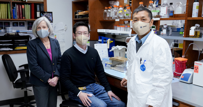 Ann Richmond, MD, Chi Yan, PhD, Jinming Yang, PhD, and colleagues are studying ways to boost antitumor immunity and reduce tumor growth in breast cancer and melanoma.