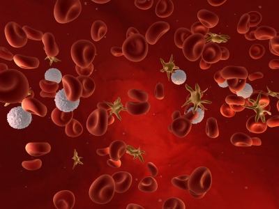 bloodcells_iStock