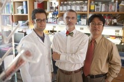 suppressing tumors Cancer researchers in lab
