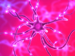 neuron_iStock
