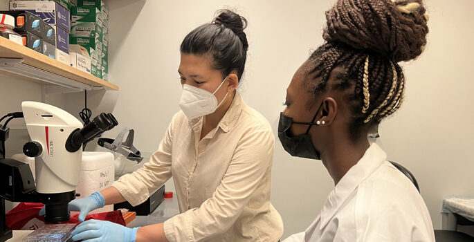 Aspirnaut Sahra Hassan, right, a senior at Burlington High School in Burlington, Vermont, worked on mitochondrial DNA maintenance with postdoctoral scientist Iva Chitrakar, PhD.