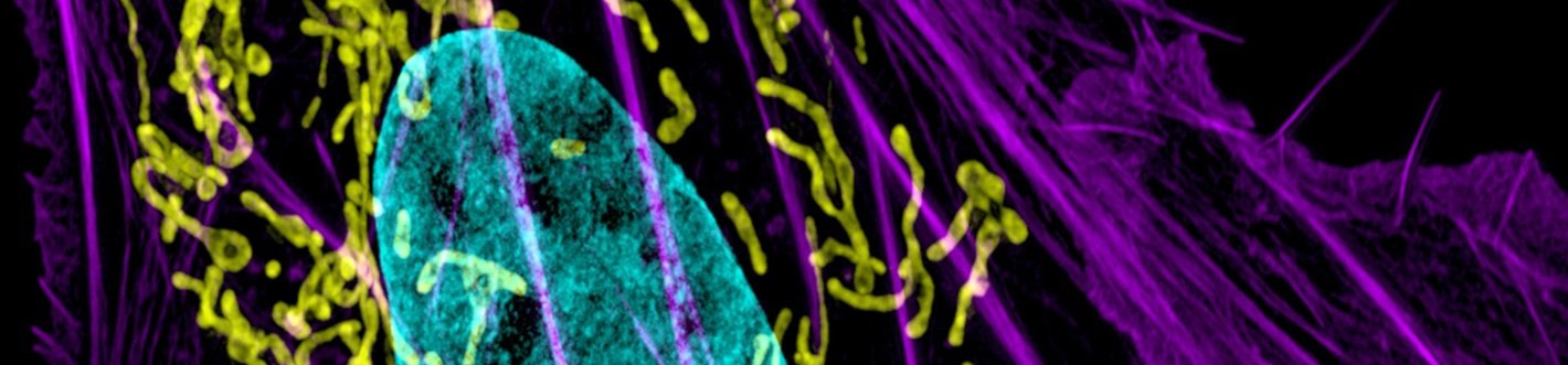 Emblematic image of the Early Detection Research Network featuring a bone-cancer background