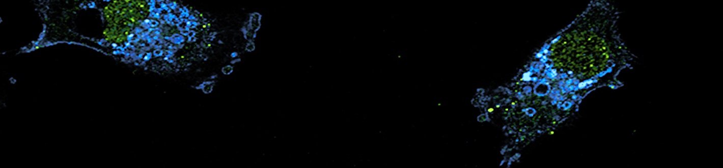 Emblematic image of the Early Detection Research Network featuring a cell background