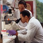 Home page image for the ‘about’ section