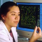 Home page image for the ‘data’ section