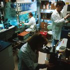 Home page image for the ‘work’ section