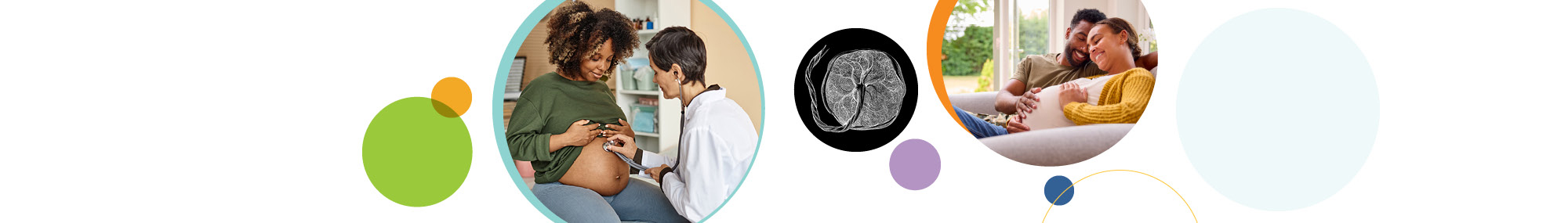 A series of three circular images related to placental health. The first image (left) shows a health care provider using a stethoscope to examine a pregnant woman’s stomach. The middle image shows a black and white illustration of the human placenta. The third image (right) shows a happy couple on a couch holding the woman’s pregnant stomach. The images are surrounded by colorful, overlapping circles in green, orange, purple, and blue.