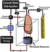 Schematic of ex vivo isolated perfused lung preparation.