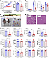 Weight gain and adiposity induced by a HFD are reduced in Snap25Δ3/Δ3 mice.