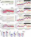 Lower net caloric accumulation upon transition to a HFD is associated with