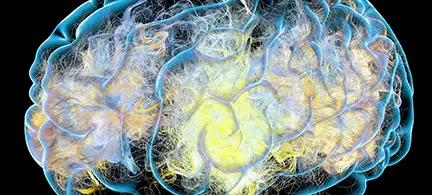 A close-up illustration of a brain, with neural pathways highlighted in various colors, provides insight on dementia treatment.