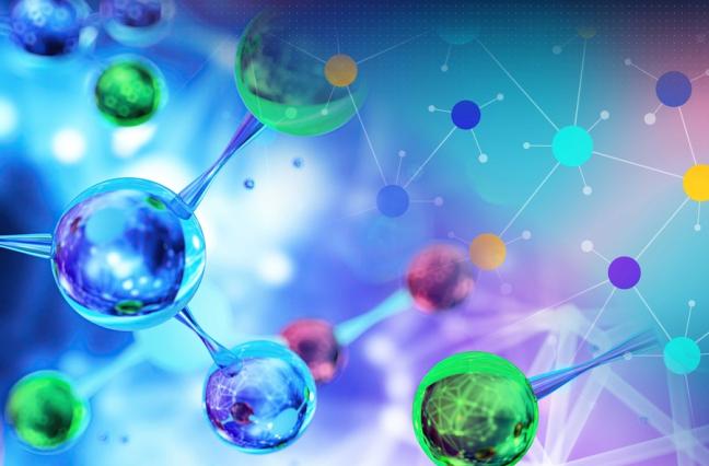 Sangheeta Bhatia research