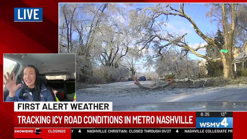 Failed trees litter the roadways across the Metro Nashville area.