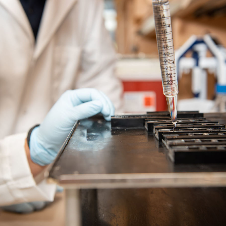 Cleveland Researchers Discover Enzyme That Controls Both Weight Gain and Cholesterol Levels in Animal Models