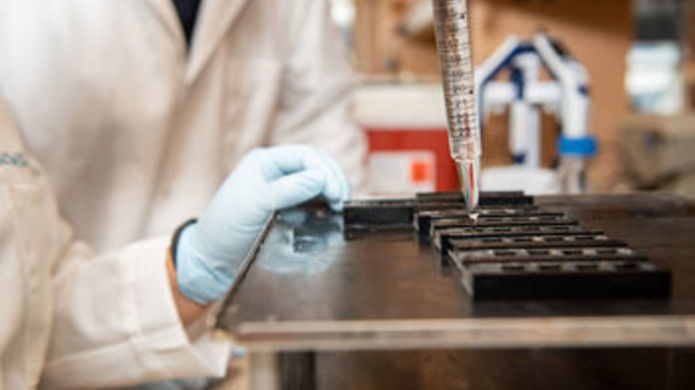 Cleveland Researchers Discover Enzyme That Controls Both Weight Gain and Cholesterol Levels in Animal Models