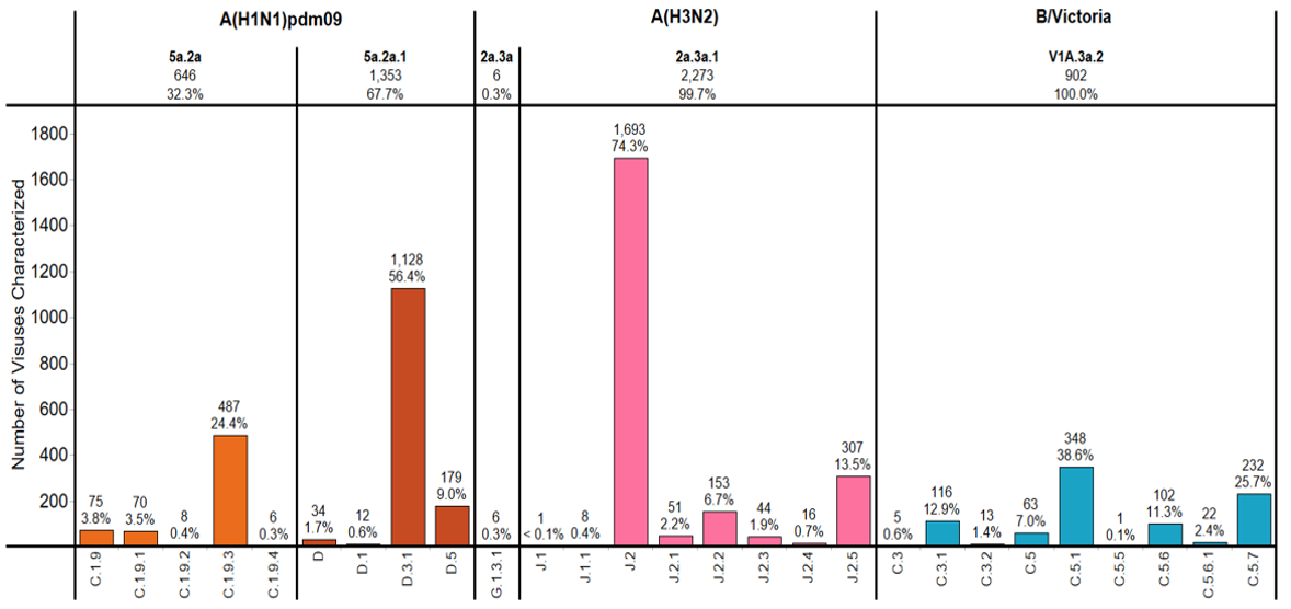 Figure 3. Genetic Characterization of HA genes Based on Phylogenic Analysis of Influenza Viruses Collected during the 2024&ndash;25 season
