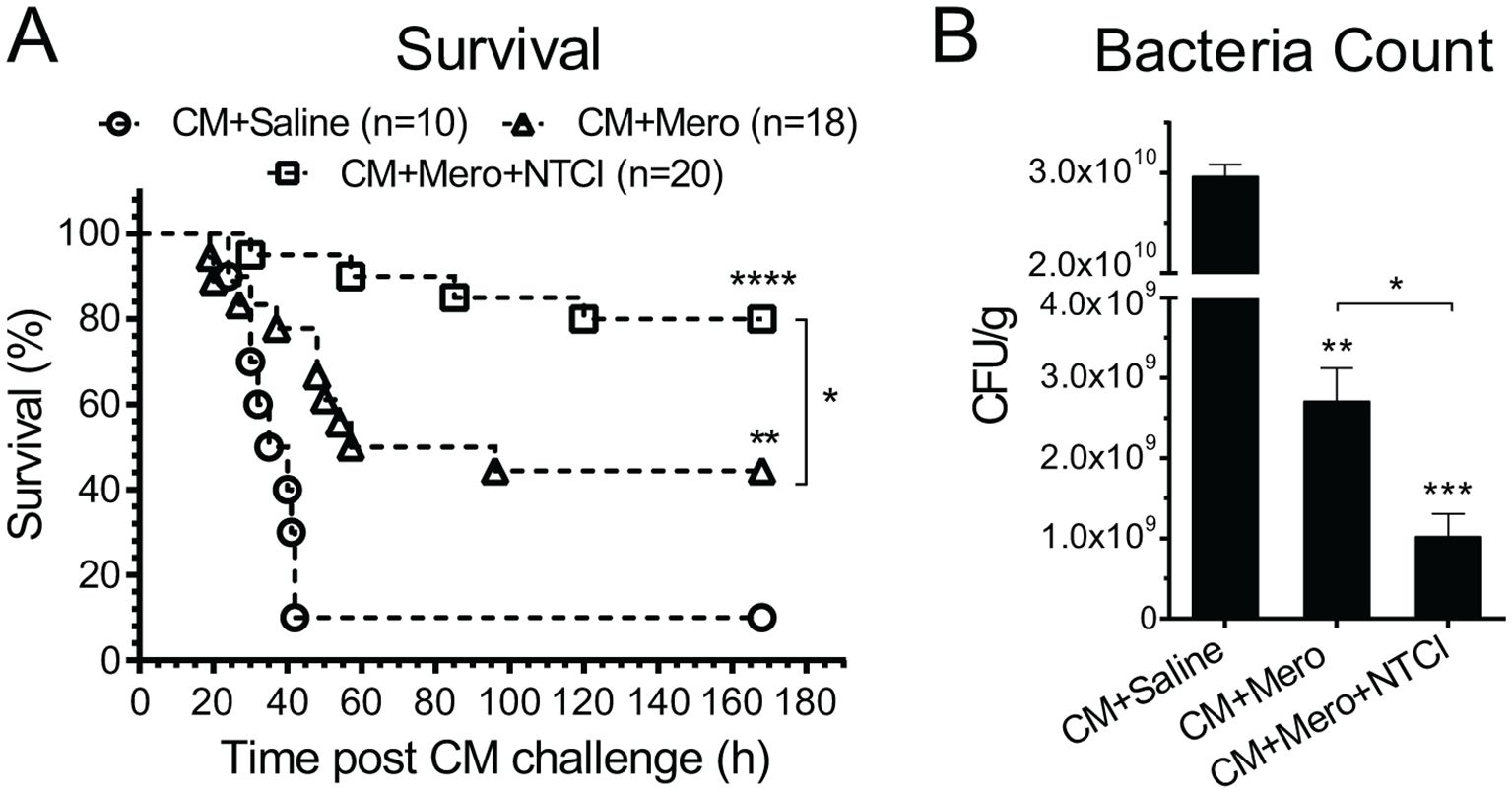 Panel A shows a survival graph of three groups post-CM challenge over 180 hours: CM+Saline, CM+Mero, and CM+Mero+NTCI. CM+Mero+NTCI demonstrates significantly better survival compared to others. Panel B displays a bar graph of bacterial counts for the same groups, with CM+Mero+NTCI showing the lowest CFU/g, indicating a significant reduction compared to CM+Saline and CM+Mero. Statistical significance is marked as symbols.