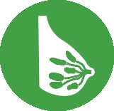 icon depicting mammary glands