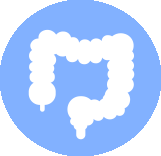 icon depicting a large intestine