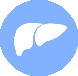 icon depicting a liver